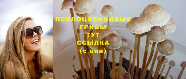 мяу мяу кристалл Магас