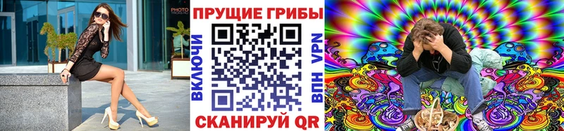 Псилоцибиновые грибы мицелий  что такое   Нефтегорск 